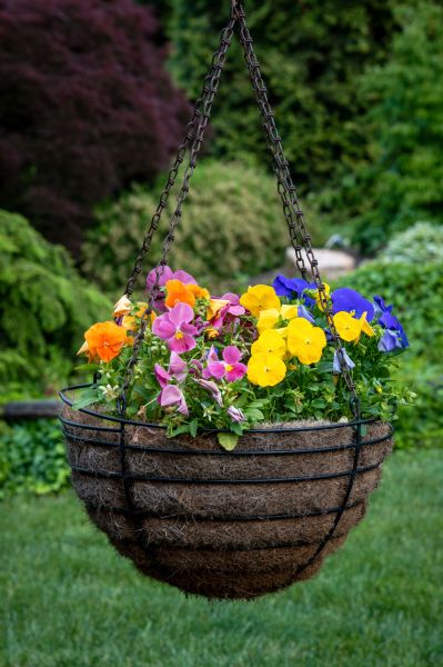 Cost of Hanging Basket Installation in Plano