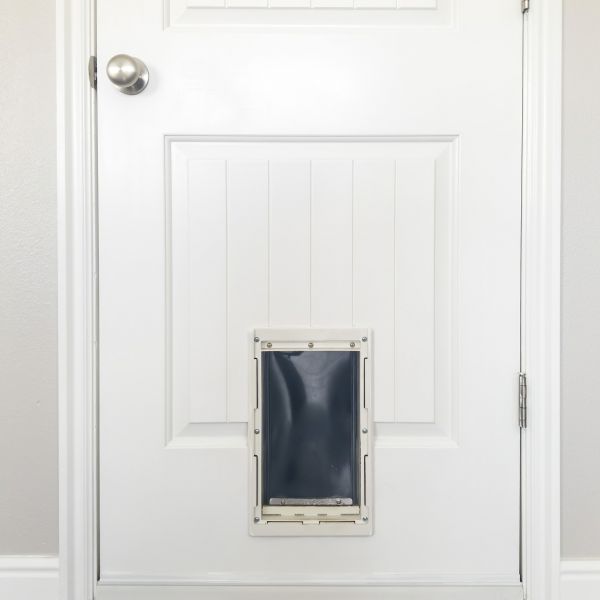 Cost of Pet Door Repair in Plano